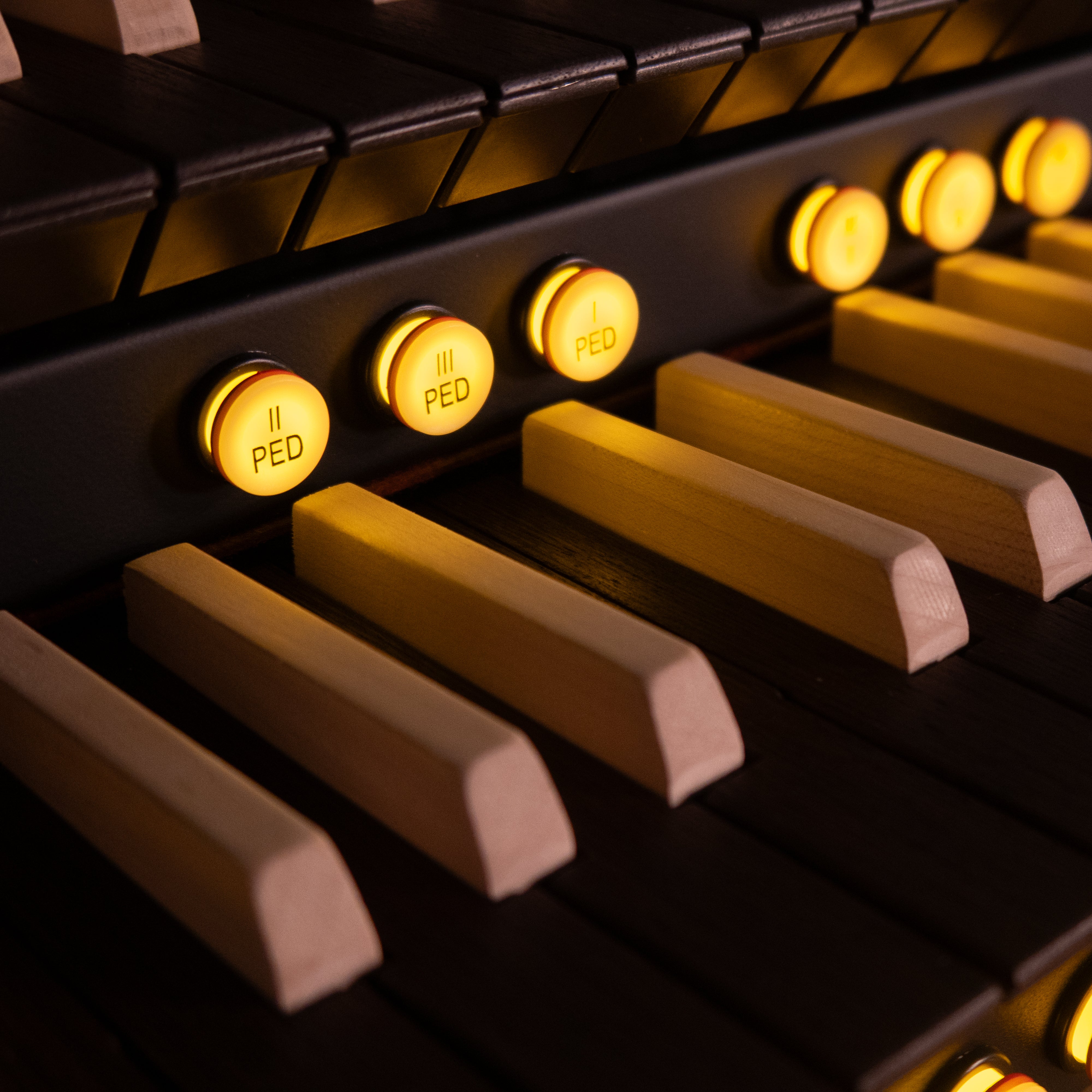 Close-up of a Viscount Cantorum Trio Plus Wood Keys 3 Manual Portable Organ with illuminated controls
