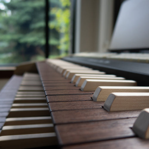 Viscount Cantorum Duo Plus 2 Manual Portable Organ - Wood Keys - View 7