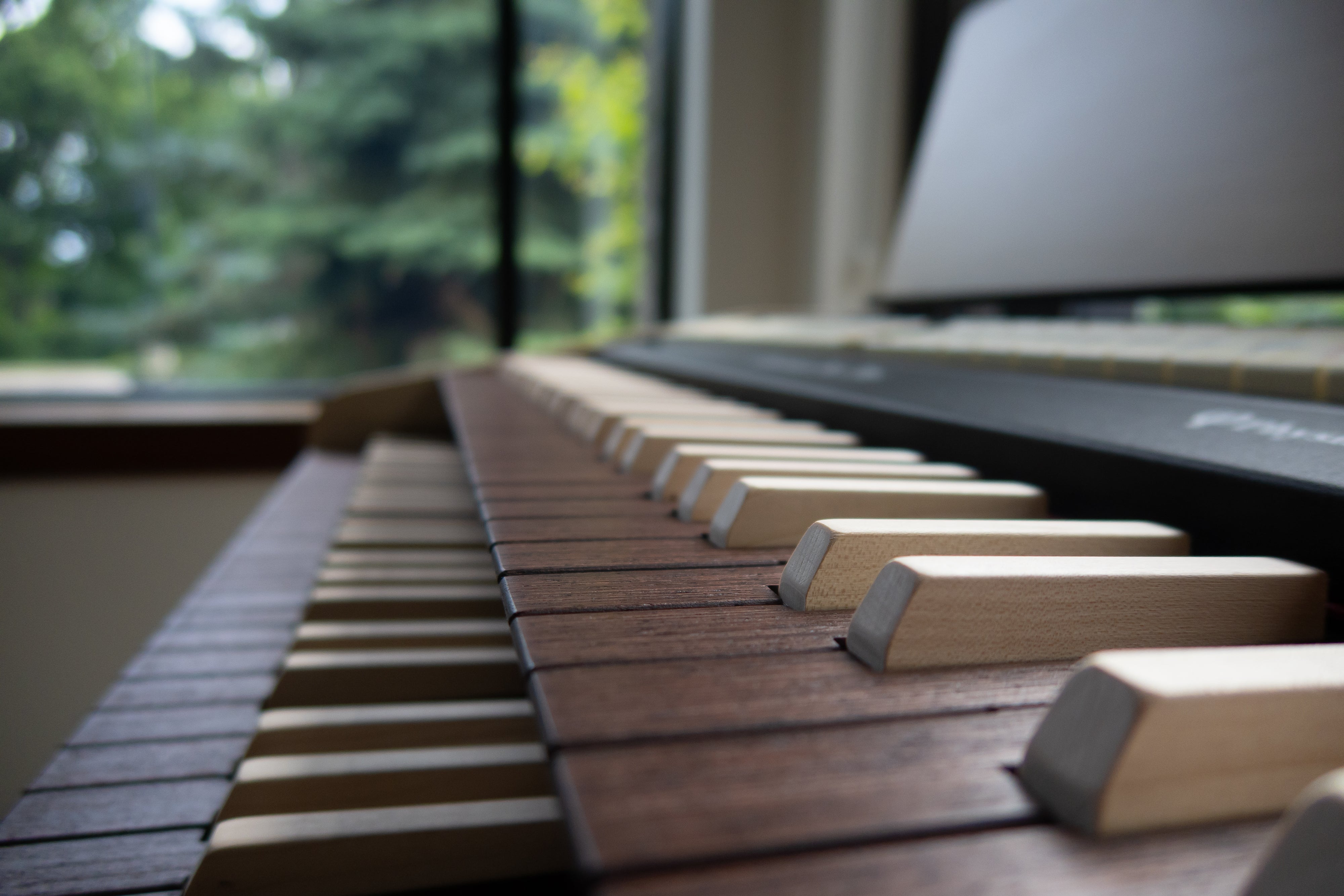 Viscount Cantorum Duo Plus 2 Manual Portable Organ - Wood Keys - View 7