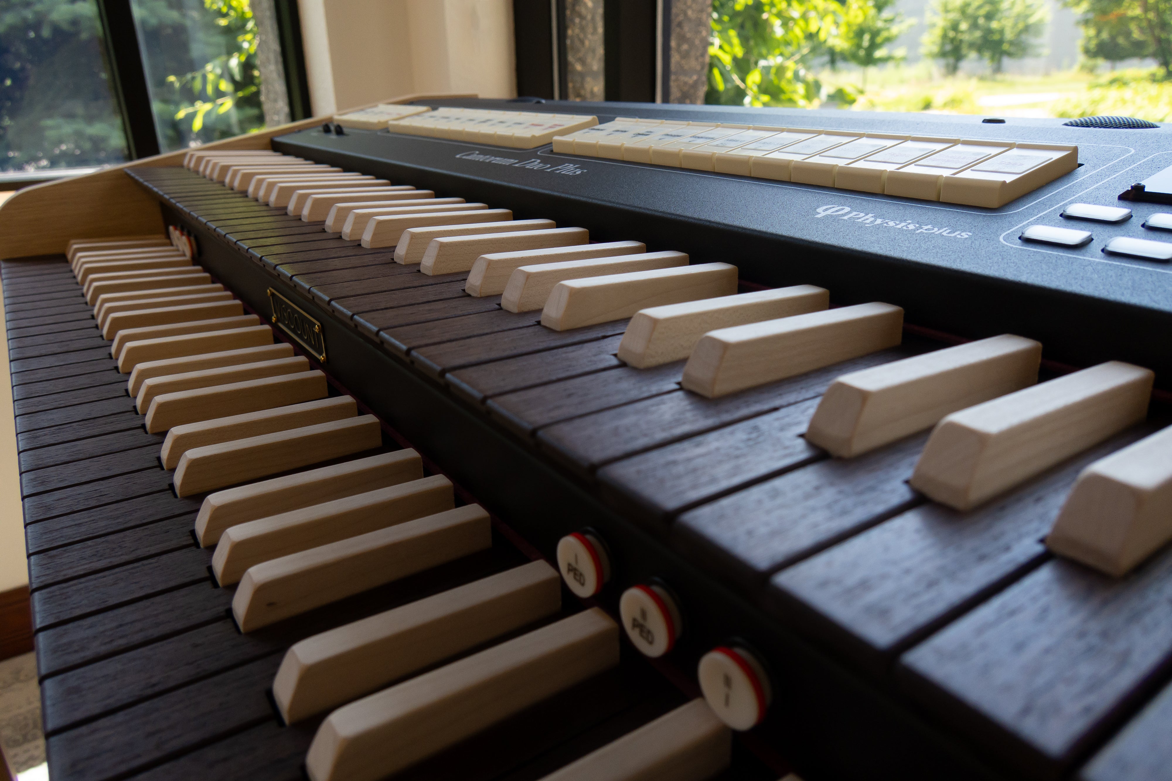 Viscount Cantorum Duo Plus Two Manual Portable Organ - Wood Keys W