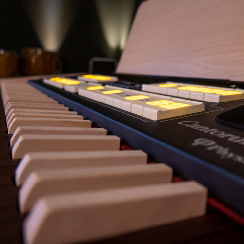 Viscount Cantorum Uno Plus Single Manual Portable Organ with Wood Keys - View 12