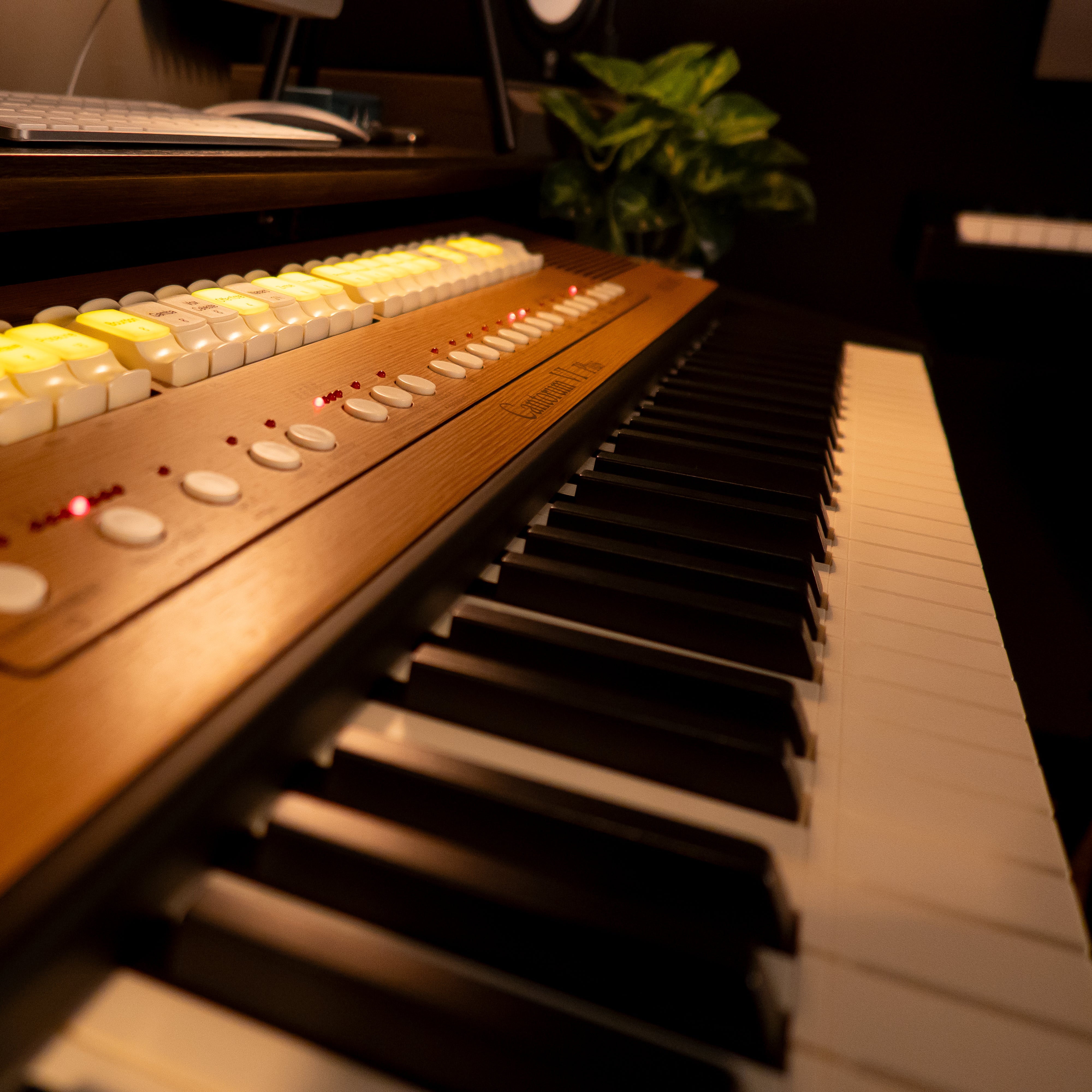 Viscount Cantorum VI Plus Portable Organ - View 4