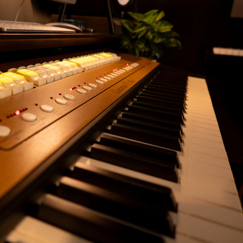 Viscount Cantorum VI Plus Portable Organ - View 6