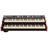 Viscount Legend One 61 Stage Keyboard with Lower Manual, view 1