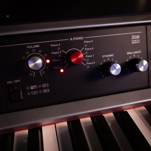 Viscount Legend '70s Acoustic Piano 2G Sound Module installed into a Viscount Legend '70s MKII Compact 73-key Modular Stage Piano