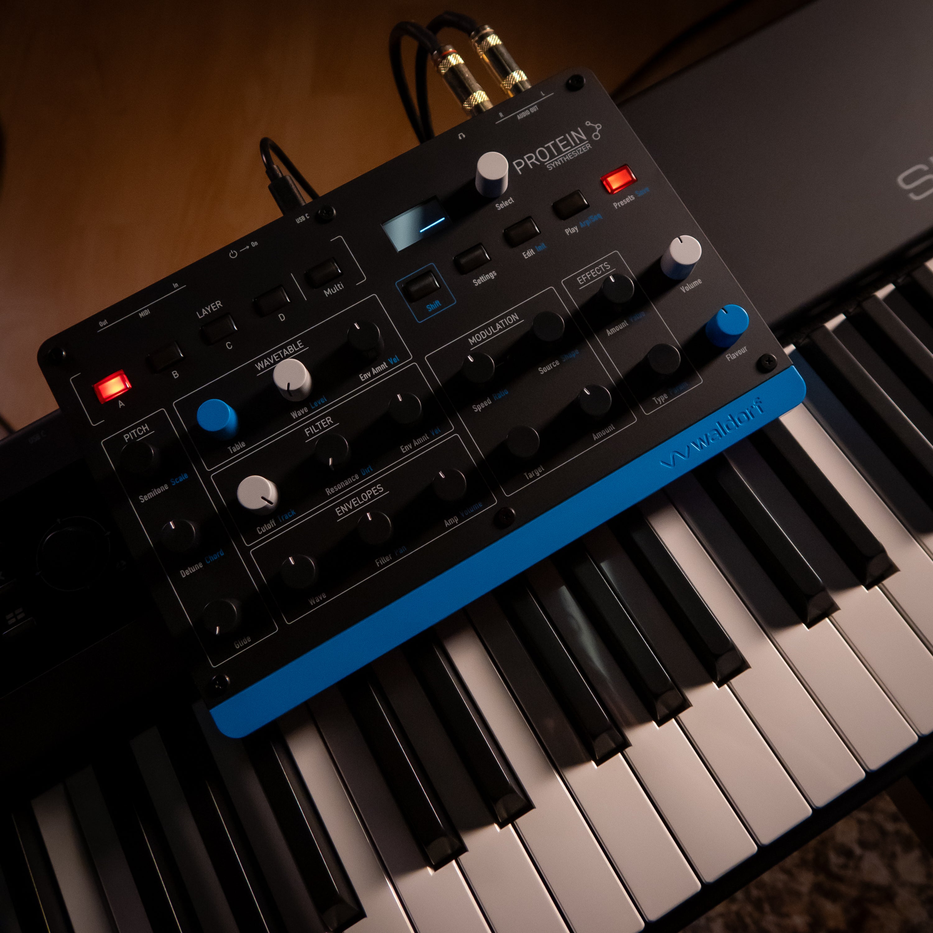 Waldorf Protein 8-Voice Desktop Wavetable Synthesizer CABLE KIT