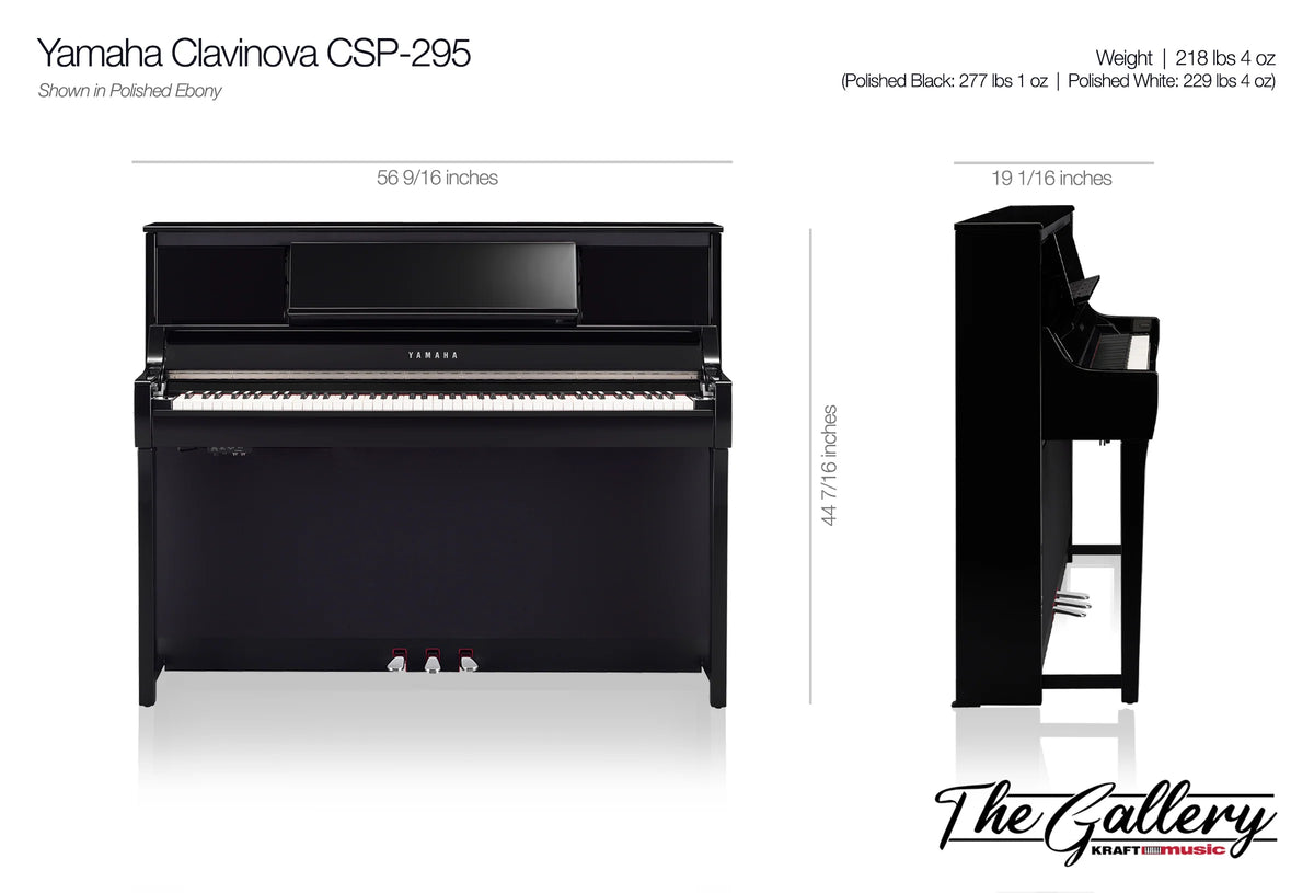 CSP-295 dimensions and weight