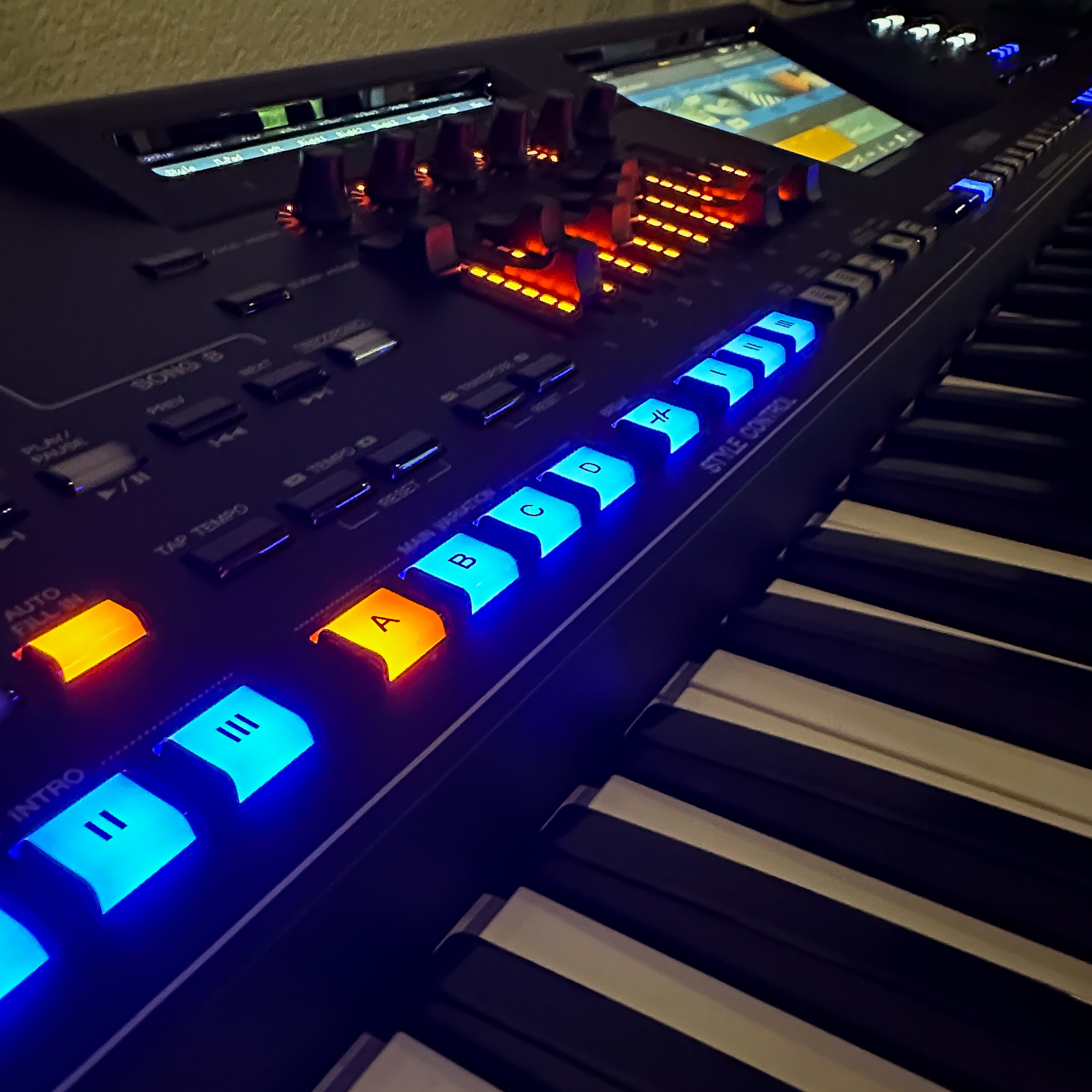 鍵盤楽器 Gijs Gieskes LFSR2R 鍵盤楽器 Gijs Gieskes LFSR2R Gieskes LFSR2R beat and melody