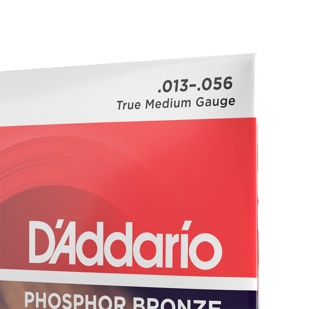 D'Addario EJ24 Phosphor Bronze Acoustic Guitar Strings, True Medium, 13-56