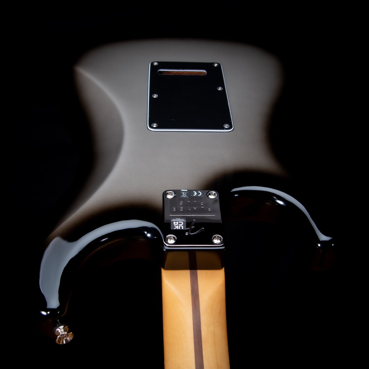 Fender Player Plus Stratocaster HSS - Pau Ferro, Silverburst view 11
