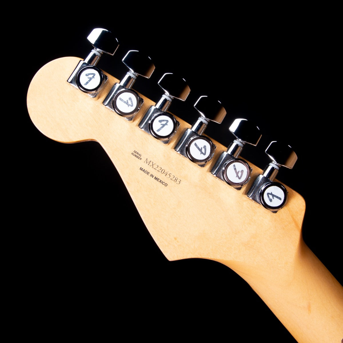 Fender Player Plus Stratocaster HSS - Pau Ferro, Silverburst view 13