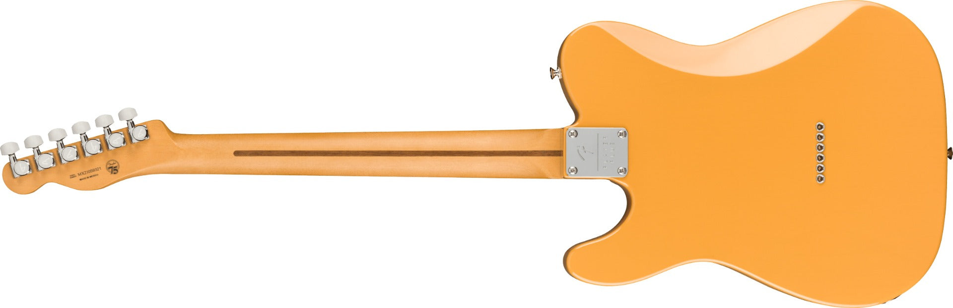 Fender Player Plus Nashville Telecaster - Maple, Butterscotch Blonde rear