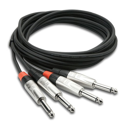 Hosa HPP-010X2 Dual REAN 1/4" TS Cable