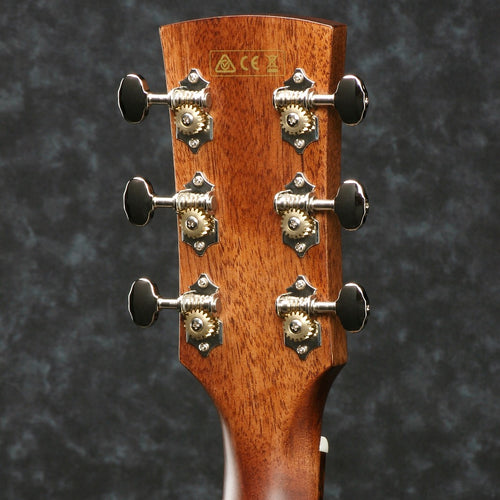 Ibanez AVD9CE Acoustic Electric Guitar - Natural 