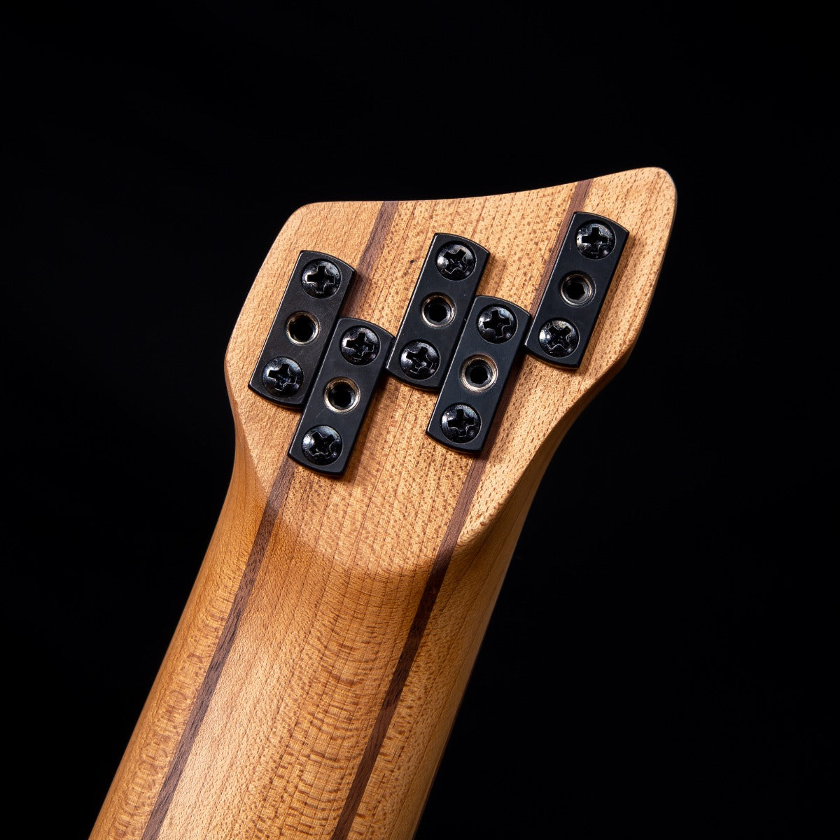 Ibanez EHB1005MS Ergonomic Headless 5-String Bass Guitar - Sea Foam Green Matte view 10