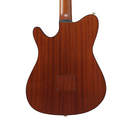 Ibanez FRH10NBSF FRH Nylon Acoustic-Electric Classical Guitar - Brown Sunburst Flat, View 3