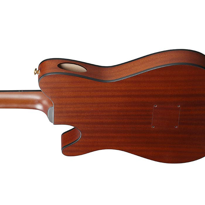 Ibanez FRH10NBSF FRH Nylon Acoustic-Electric Classical Guitar - Brown Sunburst Flat, View 5