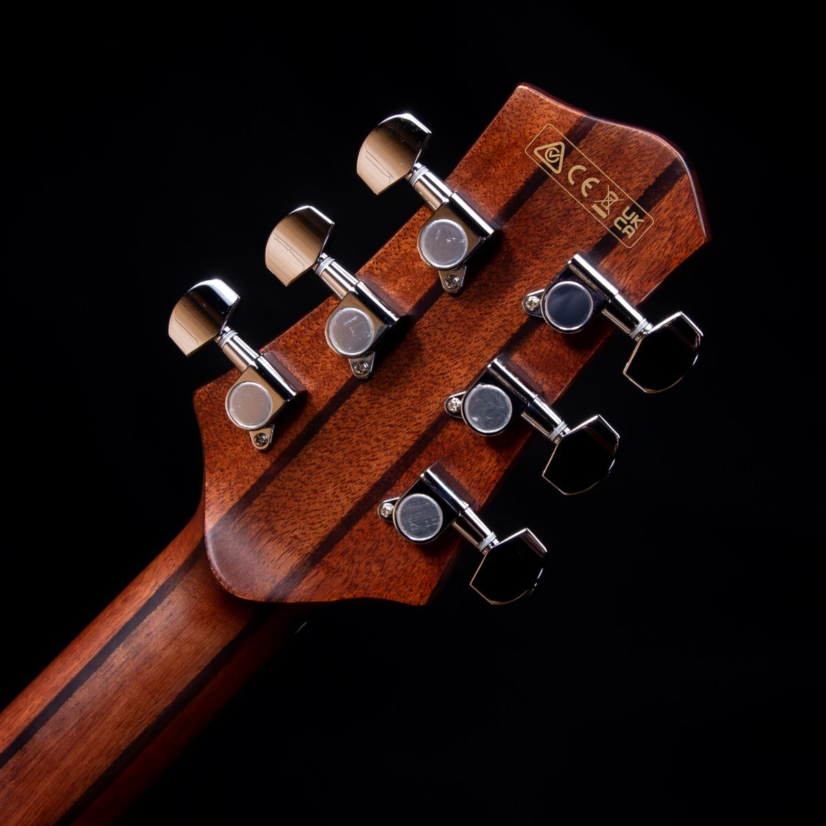 Ibanez PA230E Ac-El Guitar - NSL Natural Satin Top, Low Gloss Back & Sides view 18