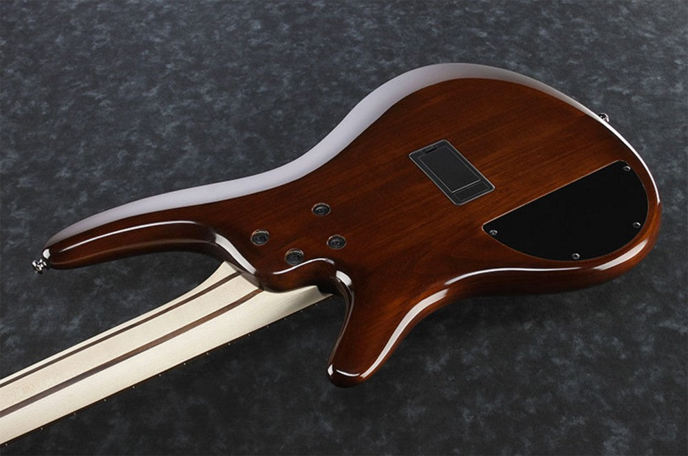 Ibanez SR375EF 5-string Fretless Bass Guitar - Brown Burst