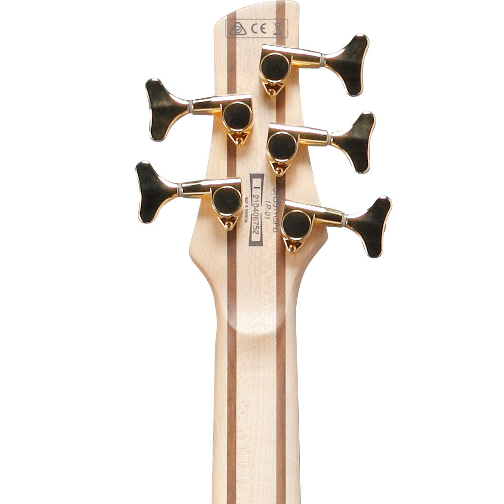 Ibanez SR405EPBDX 5-String Bass Guitar - Jatoba, Tropical Seafloor Burst view 6