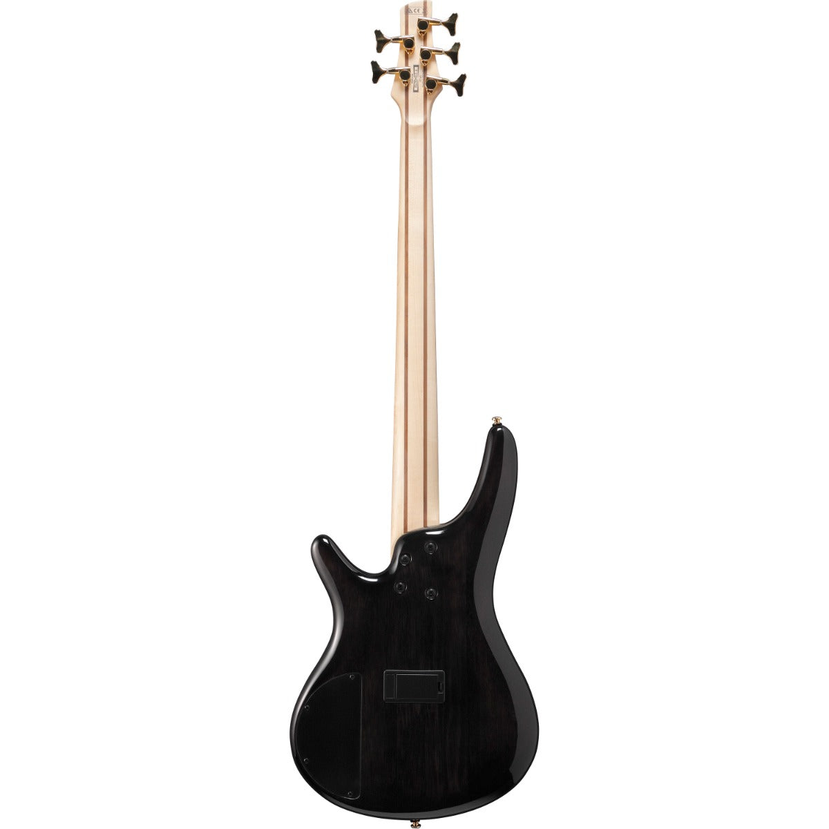  Ibanez SR405EPBDX 5-String Bass Guitar - Jatoba, Tropical Seafloor view 4