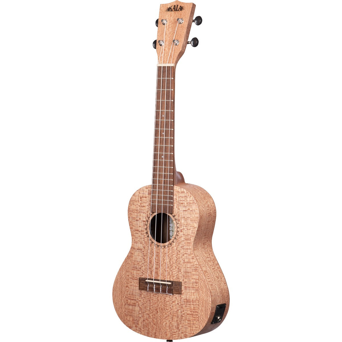 Perspective view of Kala KA-20CE Burled Meranti Ac-El Concert Ukulele showing top and right side