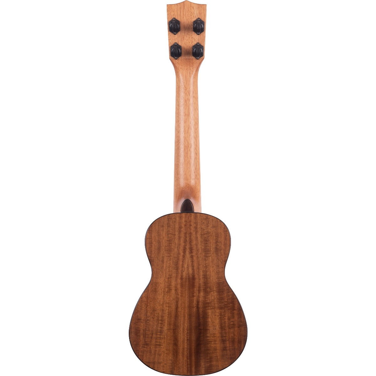 Back view of Kala KA-SCAC-C Solid Cedar Top Acacia Concert Ukulele