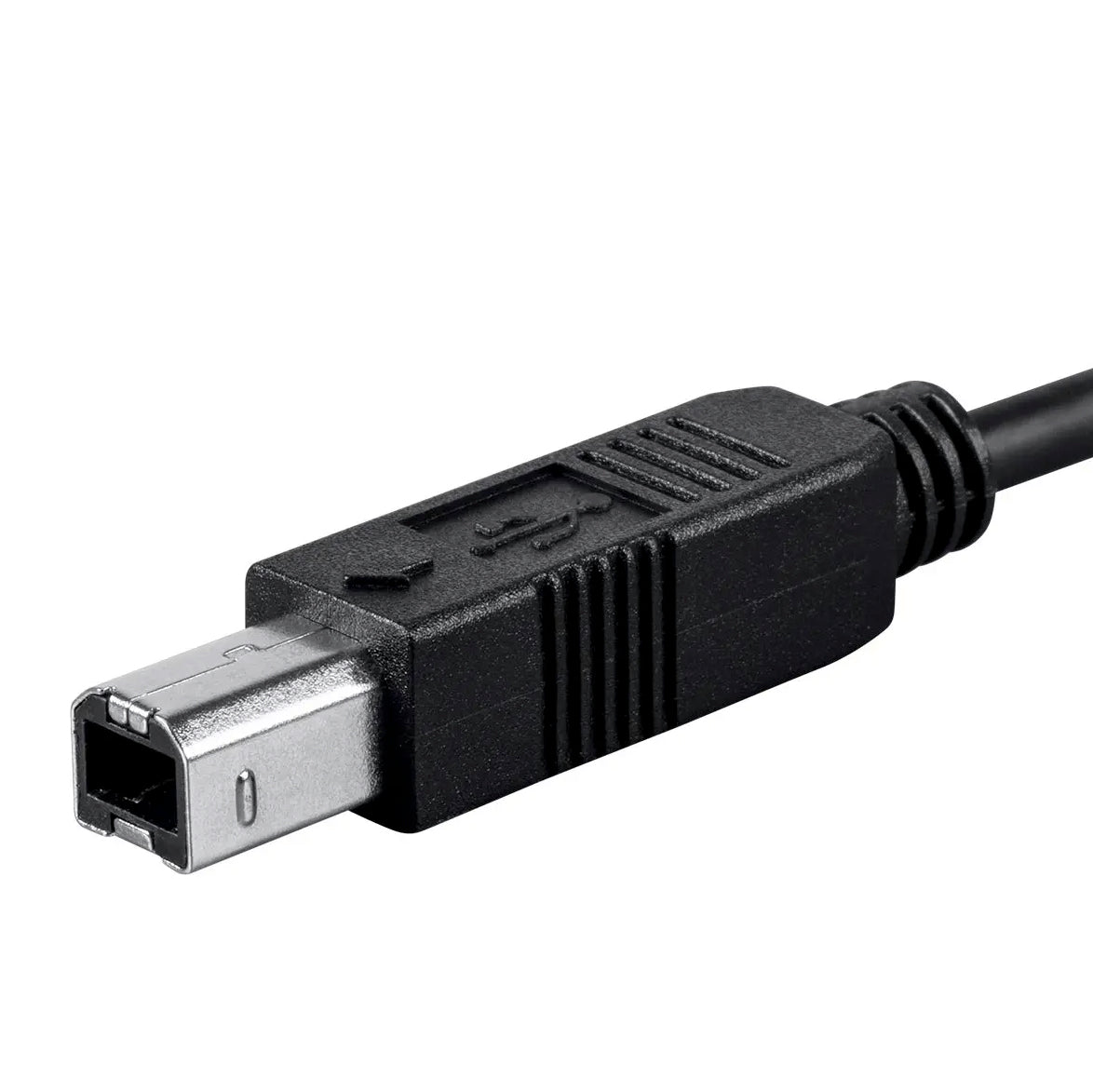 Monoprice 2.0 USB-C to USB Type-B Cable, 6.6ft - Black – Kraft Music
