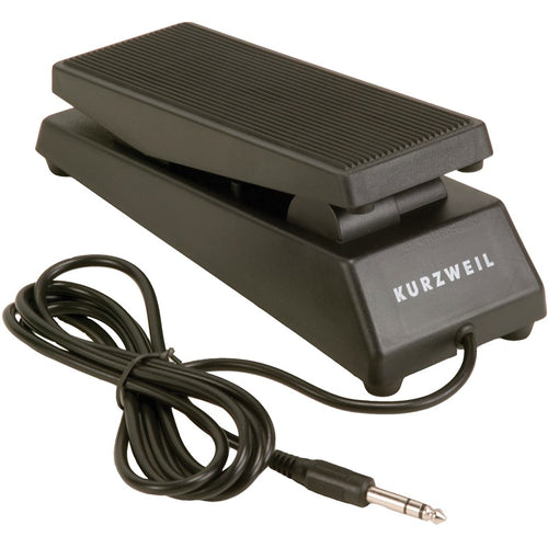Korg DS-1H Piano-style Sustain Pedal with Half-damper Control