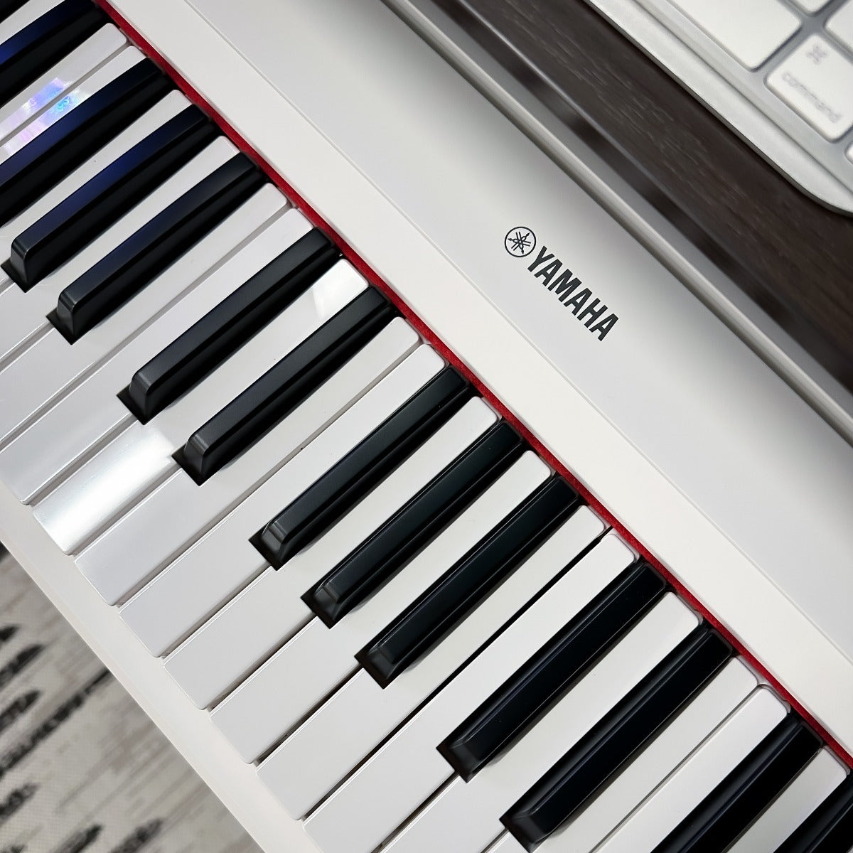 Yamaha Piaggero NP15 61-Key Portable Keyboard with Power Adapter - White, View 5