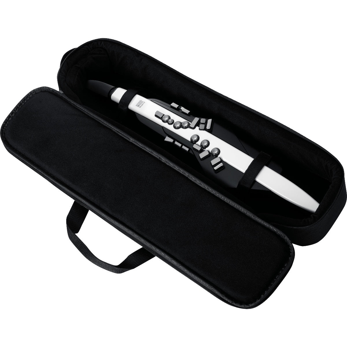 Roland Aerophone AE-20 Digital Wind Instrument BONUS PAK Roland Aerophone AE-20 Digital Wind Instrument BONUS PAK