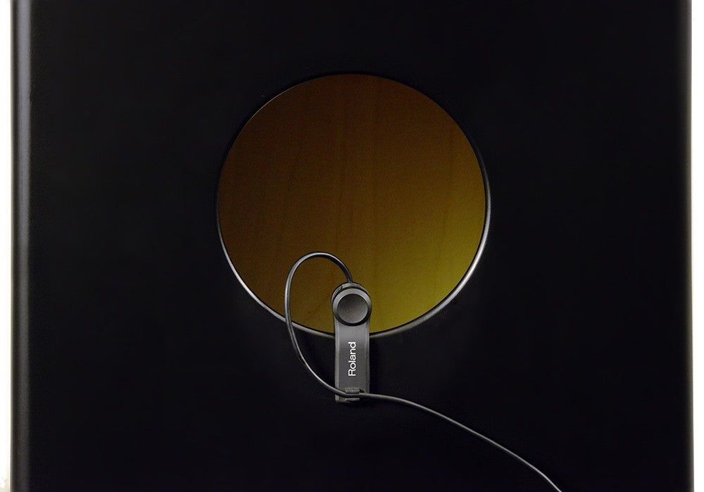 Roland EC-10M ELCajon Mic Processor – Kraft Music