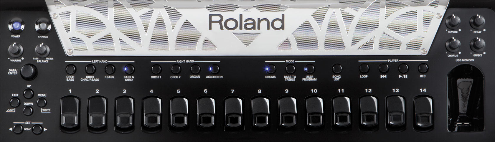 Roland FR-8x V-Accordion Dale Mathis Edition - Black, View 8