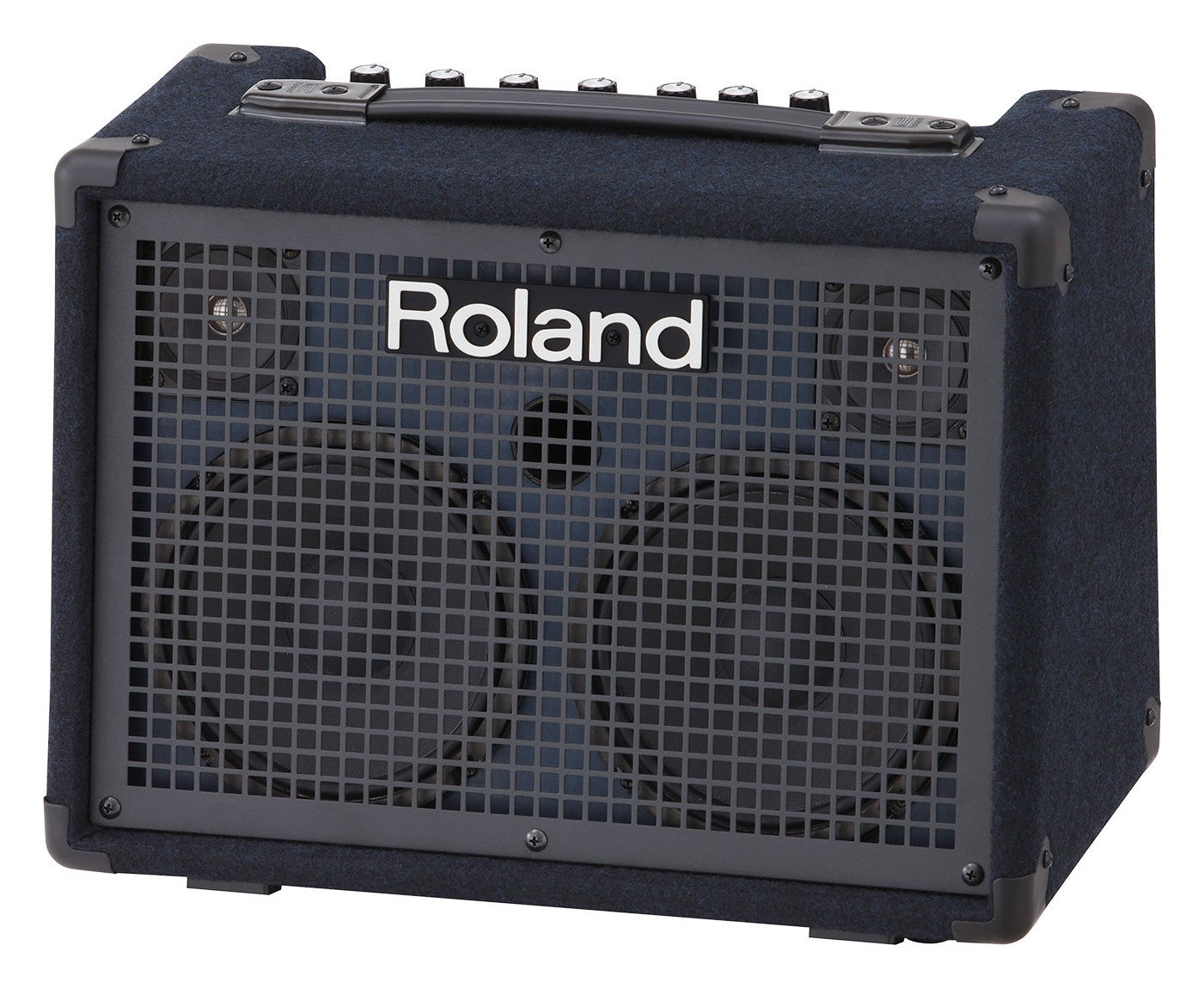 Roland KC-220 Battery Powered Stereo Keyboard Amplifier CABLE KIT