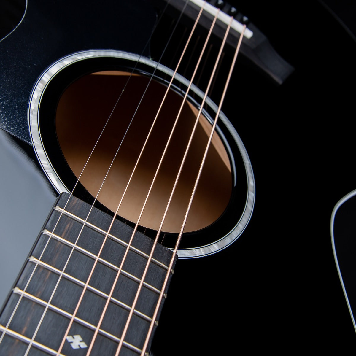 Taylor 214ce-BLK DLX Acoustic-Electric Guitar - Black view 12