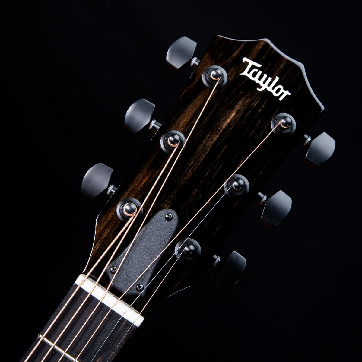 Taylor 214ce-BLK DLX Acoustic-Electric Guitar - Black view 5