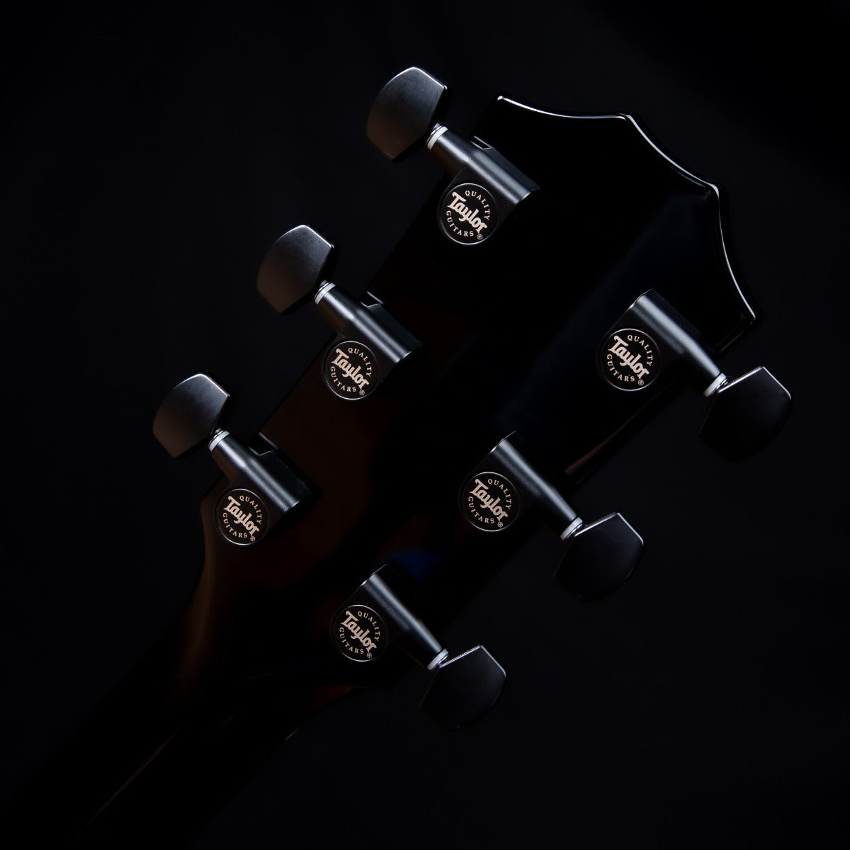 Taylor 214ce-BLK DLX Acoustic-Electric Guitar - Black view 14