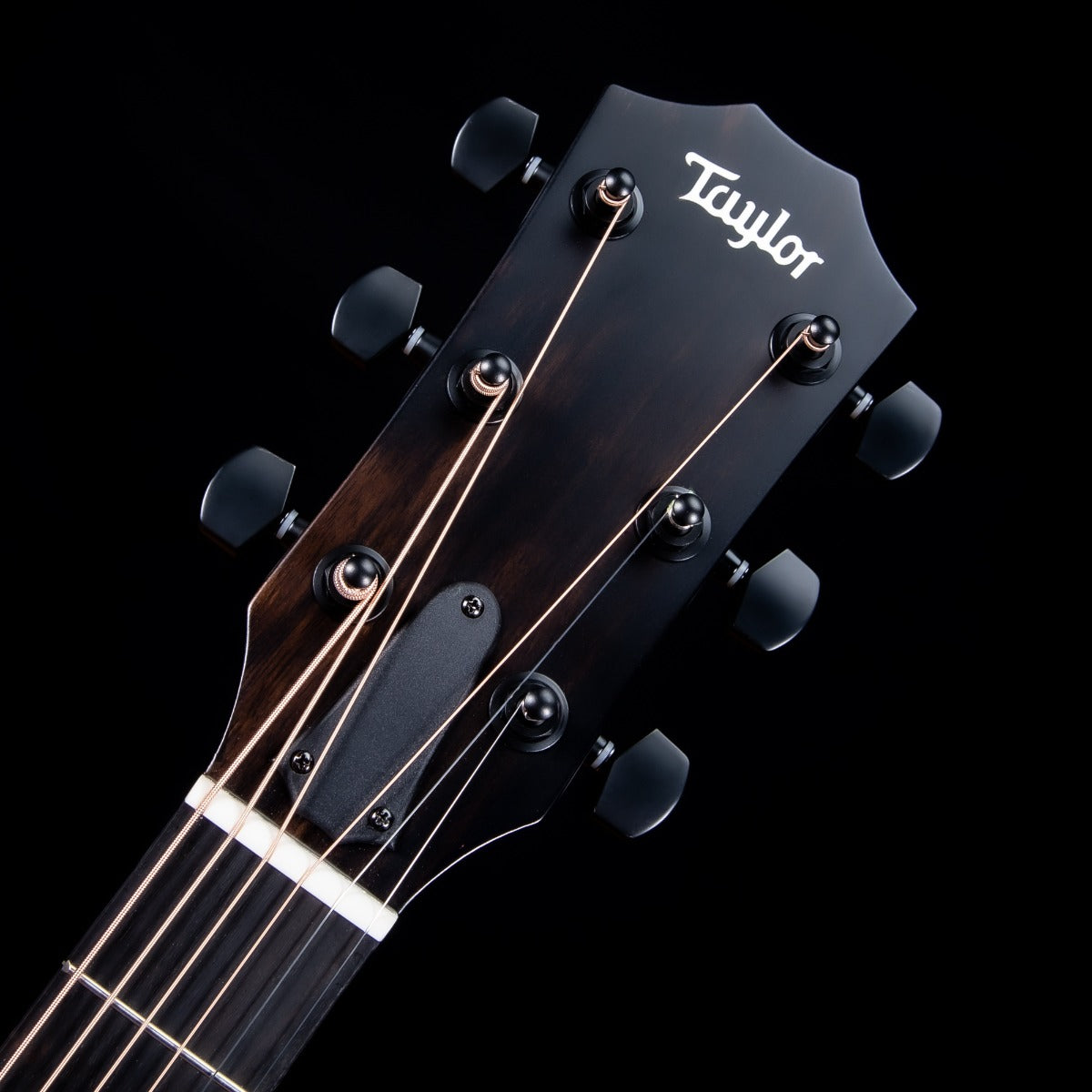 Taylor 214ce DLX LTD Acoustic-Electric Guitar - Trans Grey view 5
