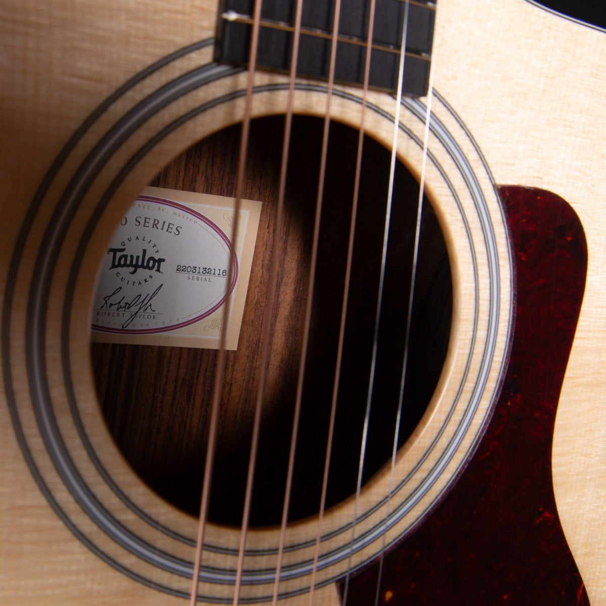 Taylor 214ce Plus Acoustic-Electric Guitar view 16