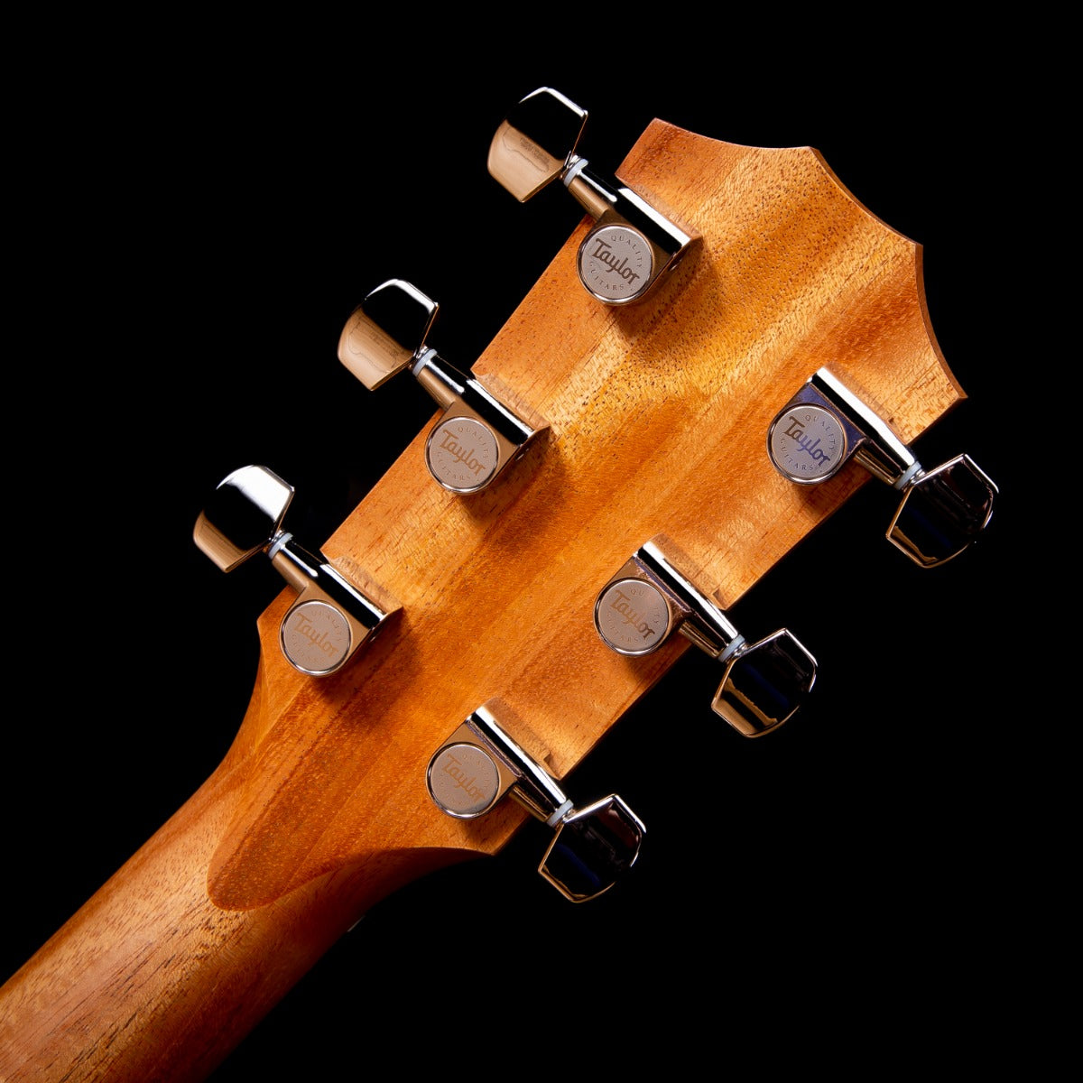 Taylor 214ce Plus Acoustic-Electric Guitar view 18