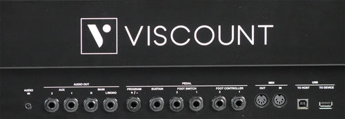 Rear panel closeup of Viscount Legend '70s Artist-W showing audio, data and power connections