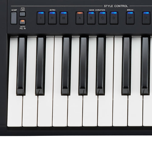 Yamaha PSR-SX900 Arranger Workstation Keyboard STAGE ESSENTIALS BUNDLE
